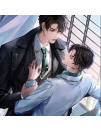 ALPHA MẤT TRÍ NHỚ, OMEGA BẠN TÌNH THU DỌN HÀNH LÝ XEM MẮT